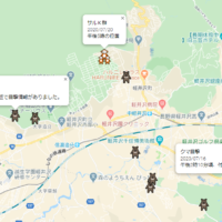 軽井沢の猿・熊