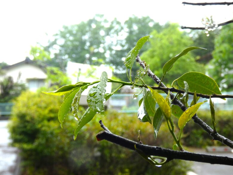 台風２号　軽井沢　雨