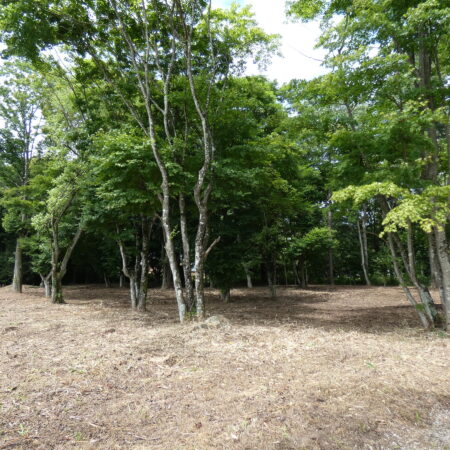中軽井沢　追分 土地　