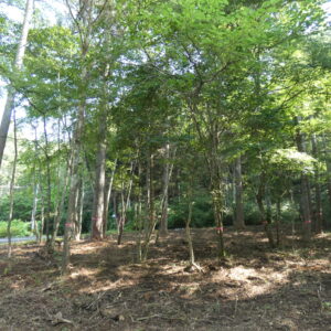 レイクニュータウン　土地 軽井沢