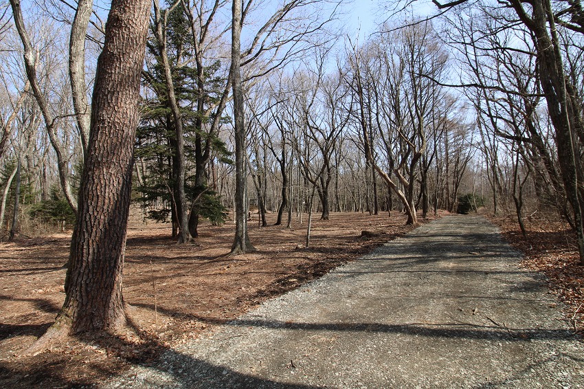 軽井沢　別荘地